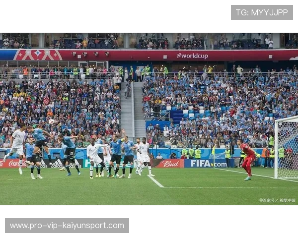 法甲支持热烈，球迷反应积极，法甲全场